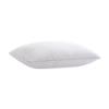 Picture of DREAMGUARD BMI19881L2-MAX-COOL-QN-PILLOW