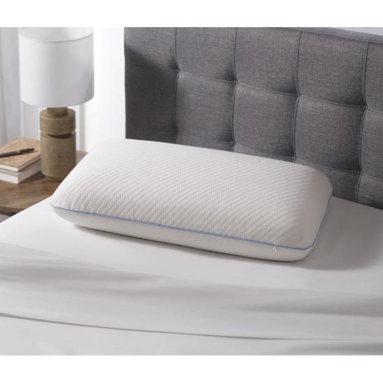 Picture of DREAMGUARD ST000511A-QUEEN-BIOFOAM-PILLOW