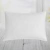 Picture of I LOVE PILLOW G13-2CM-5BB-GEL-CLOUD-2PK-PIL