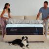 Picture of TEMPUR-PEDIC TEMPUR-LuxeAdapt® Soft Mattress