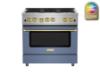 Picture of BLUE STAR RCS366BV2