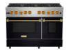 Picture of BLUE STAR RCS48SBV2