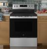 Picture of GE APPLIANCES GRF500SVSS