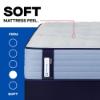 PosturePedic® Patterson II Plush Mattress (spec1)