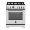 Picture of BERTAZZONI PRO304BFEPXT
