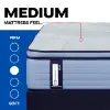 PosturePedic® Paterson II Medium Mattress (specs1)