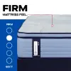 PosturePedic® Paterson II Firm Euro Pillowtop Mattress (Specs1)