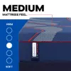 Posturepedic® Elite Albany II Medium Hybrid Mattress (specs2)