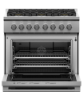 Picture of FISHER & PAYKEL RGV3-366-N
