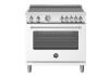 Picture of BERTAZZONI MAS365INMBIV