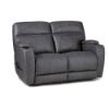 Picture of HOMESTRETCH, INC 200-50-62-JAGUAR-P3-LOVESEAT