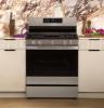 Picture of GE APPLIANCES PGF700AYFS