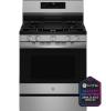 Picture of GE APPLIANCES PGF700AYFS