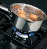 Picture of HOTPOINT RGBS300DMBB