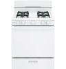 Picture of HOTPOINT RGBS300DMWW