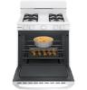 Picture of HOTPOINT RGBS300DMWW