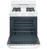 Picture of HOTPOINT RGBS300DMWW