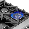 Picture of FORNO FFSGS6325-48