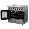 Picture of FORNO FFSEL6917-36
