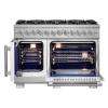 Picture of FORNO FFSGS6387-48