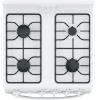 Picture of HOTPOINT RGAS300DMWW