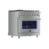 Picture of FORNO FFSGS6239-36