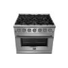 Picture of FORNO FFSGS6239-36