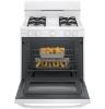 Picture of HOTPOINT RGBS200DMWW