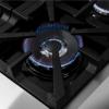 Picture of FORNO FFSGS6239-48