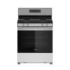Picture of WHIRLPOOL WFGS3030RS