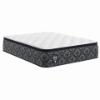 Picture of Serta Cascade-Canyon-Plush-Pillow-Top