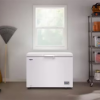 Whirlpool 11 cu. ft. chest freezer WZCN3511TW in a garage