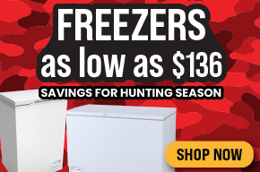 Chest and upright freezer sale featuring fast delivery and prices starting at $138 after rebate.
